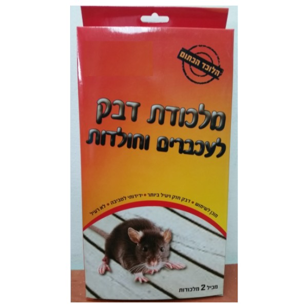 מלכודת עכברים ביתית