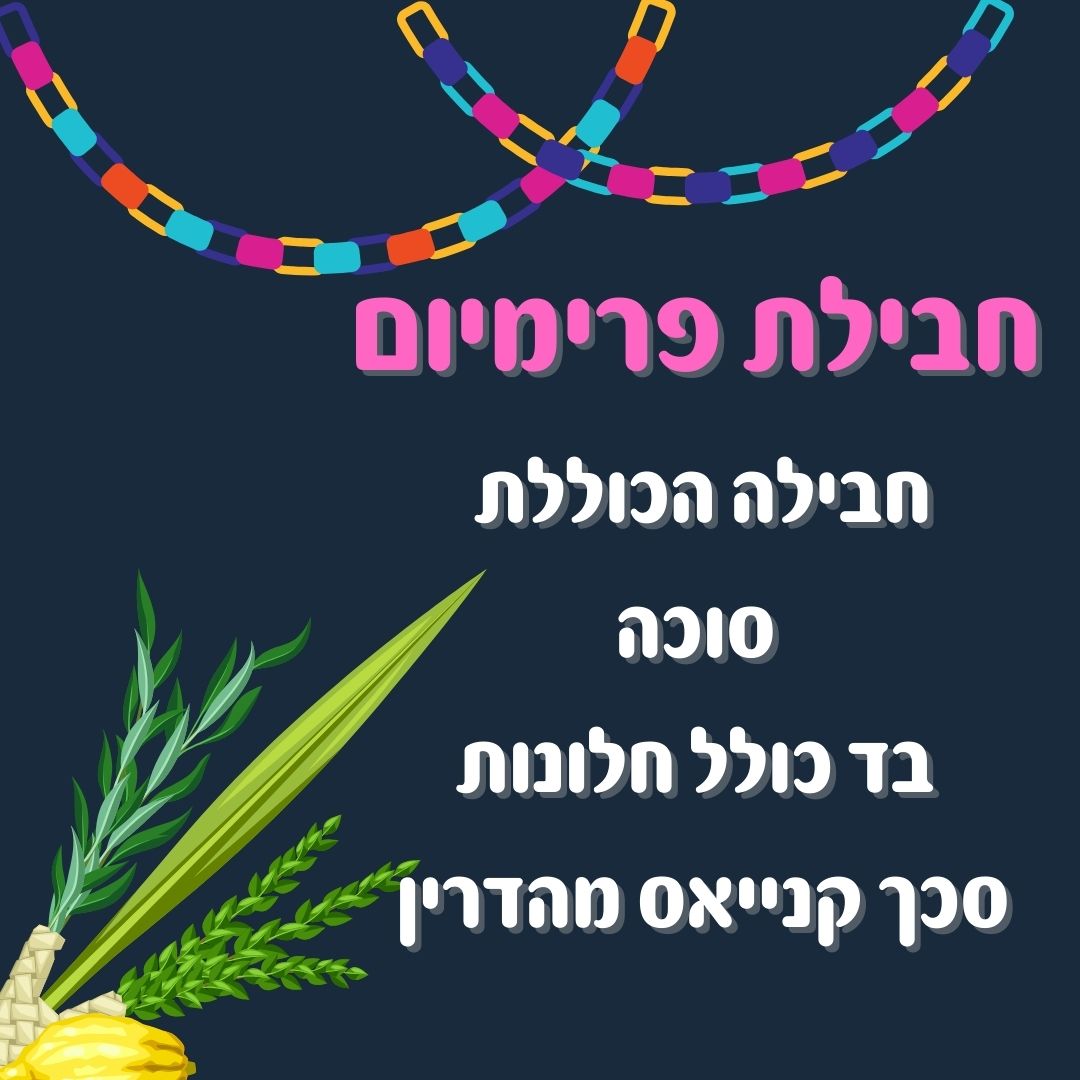 חבילת פרימיום לסוכה בגודל לבחירה כולל סוכה, בד עם חלונות, סכך קאנייס מהדרין וחיזוקים