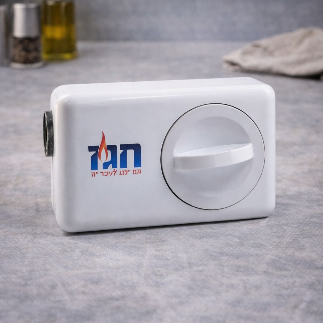 חגז ליום טוב