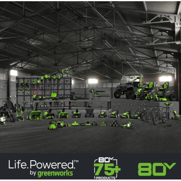 ⁦מטען כפול מהיר לסדרת PRO (מטען בלבד) GREENWORKS 99559 80V⁩ – תמונה ⁦7⁩