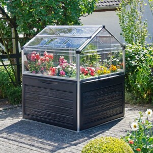 מיני חממה ביתית Plant-inn בגודל 1.2x1.2 מבית CANOPIA